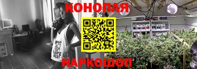 стаф Малгобек
