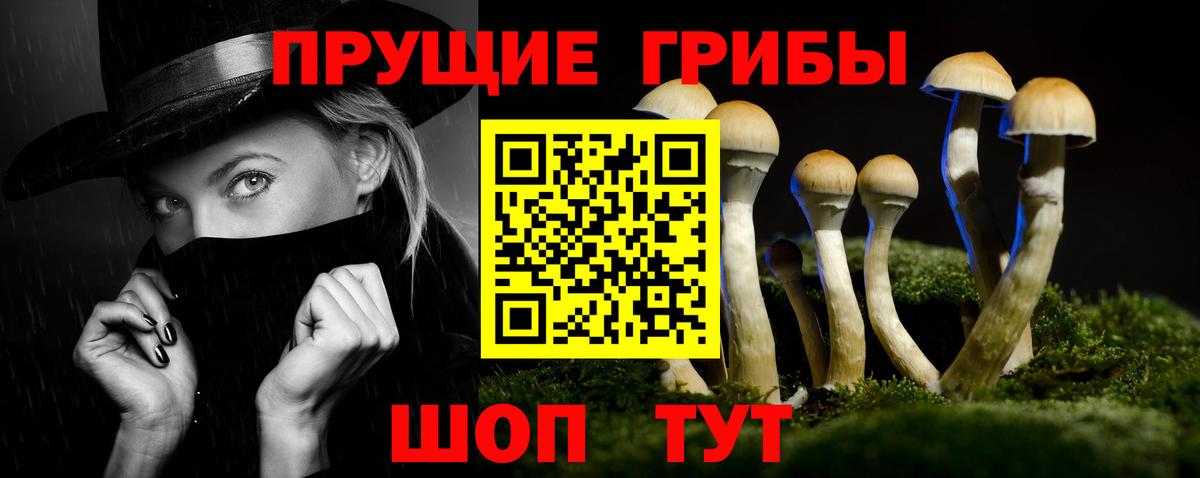 Галлюциногенные грибы Magic Shrooms Избербаш